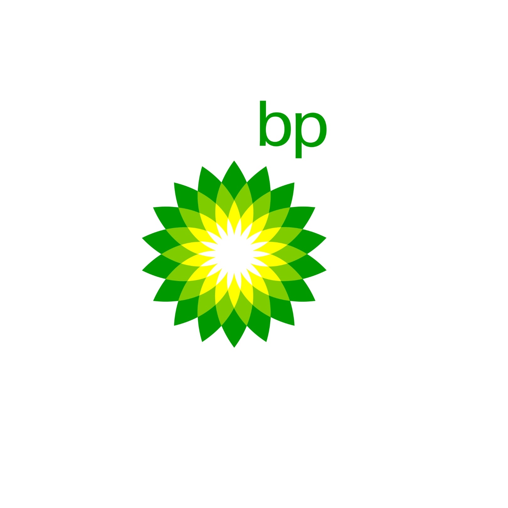 2027 BP Video Interview and Online Assessment Exact Questions and Answers