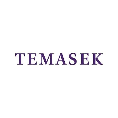 2027 Temasek Online Assessment & Video Interview Answers